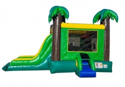 palm20party20bounce20house20combo20rental20tulsa20oklahoma 1 Palm Party Combo